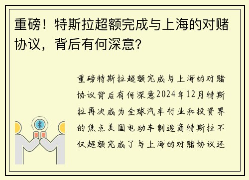 重磅！特斯拉超额完成与上海的对赌协议，背后有何深意？