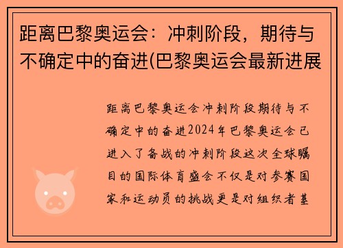 距离巴黎奥运会：冲刺阶段，期待与不确定中的奋进(巴黎奥运会最新进展)